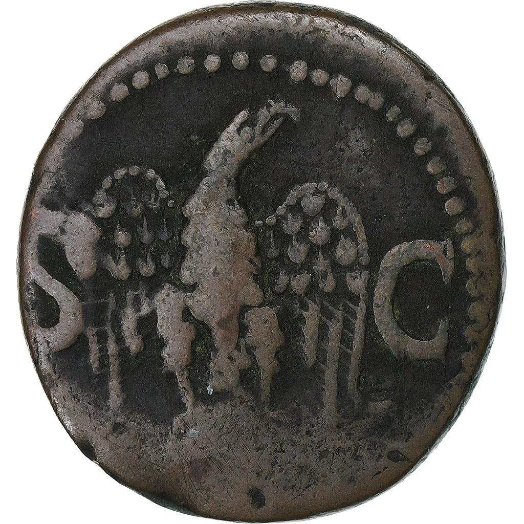 Divus Augusto,
Cómo,
34-37