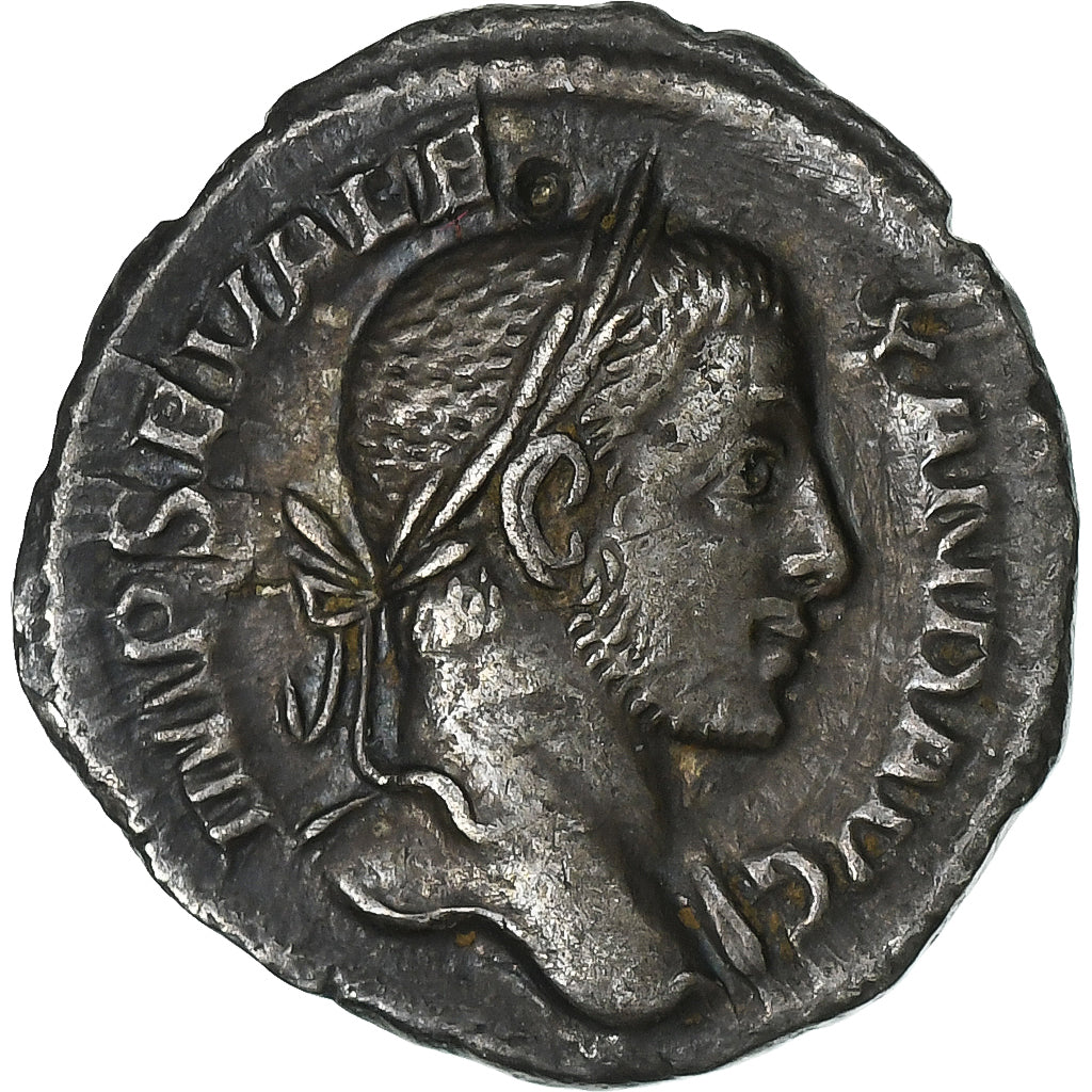 Severo Alejandro,
Dinar,
229