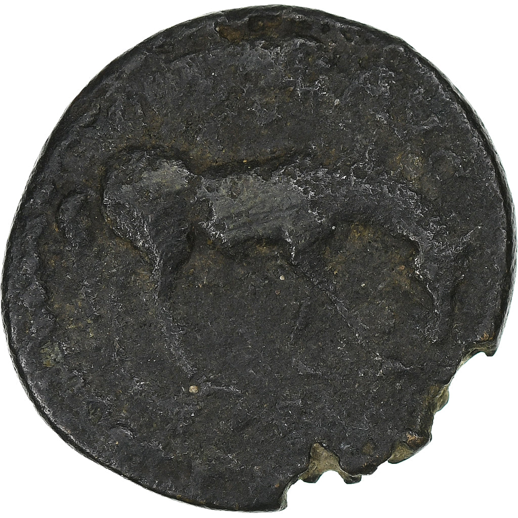 Troya,
Severo Alejandro,
Æ