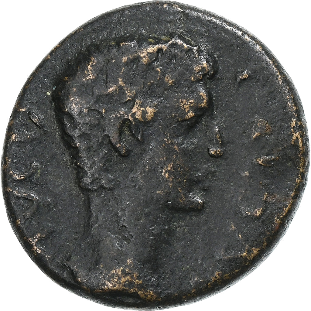 Corintia,
Calígula,
Æ Unidad