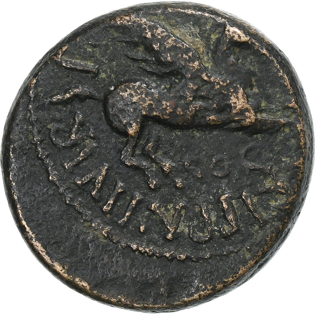 Corintia,
Calígula,
Æ Unidad