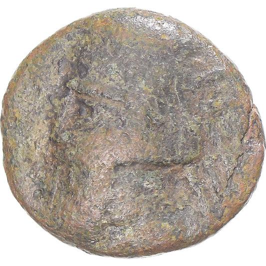 Moneda,

Imperio parto (247 a. C. - 224 d. C.),

Cretácico Æ