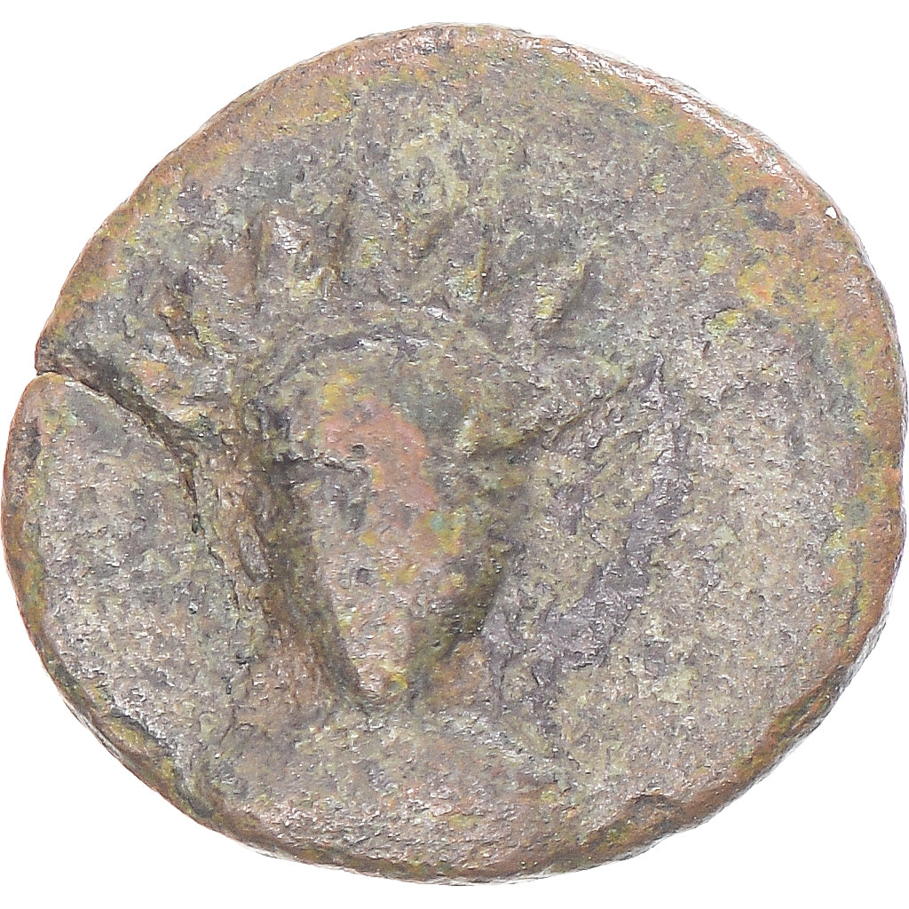 Moneda,

Imperio parto (247 a. C. - 224 d. C.),

Cretácico Æ