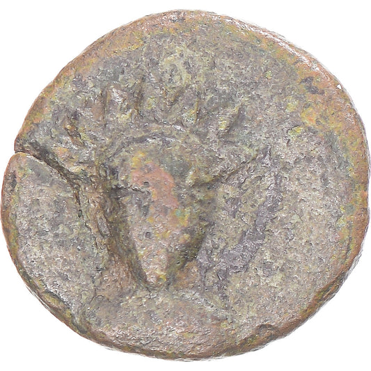 Moneda,

Imperio parto (247 a. C. - 224 d. C.),

Cretácico Æ