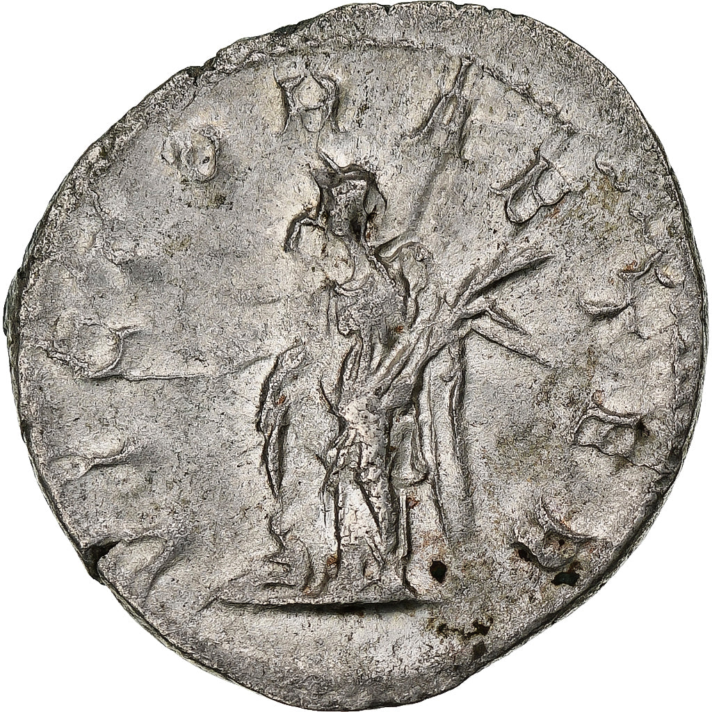 Gordio III, 
  
  antonianos, 
  
  243-244