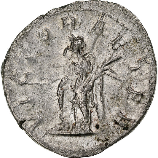 Gordio III, 
  
  antonianos, 
  
  243-244