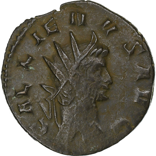 Galeno, 
  
  antonianos, 
  
  260-268