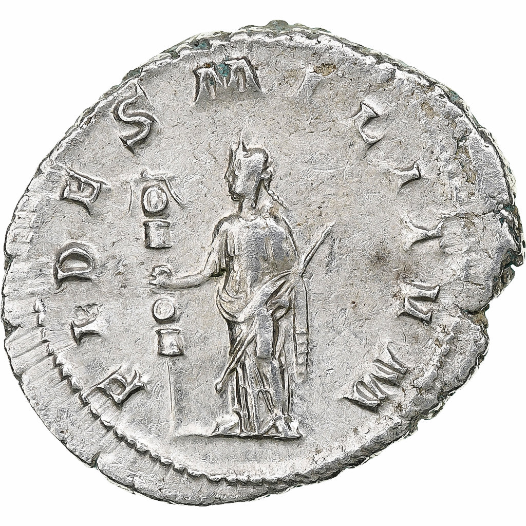 Gordio III, 
  
  antonianos, 
  
  238-239