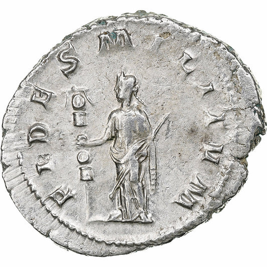 Gordio III, 
  
  antonianos, 
  
  238-239