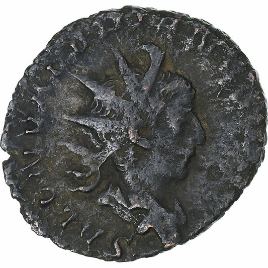 Salonino,

Antoniano,

258