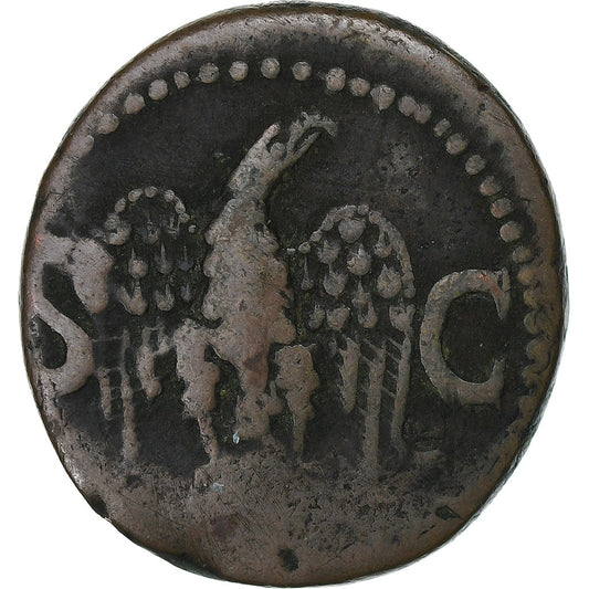 Divus Augusto, 
  
  Cómo, 
  
  34-37