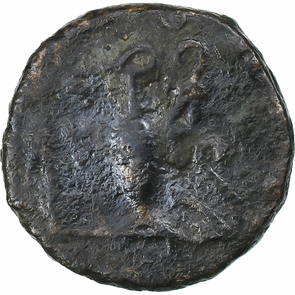 ¿Tétrico II?, 
  
  antonianos, 
  
  271-274