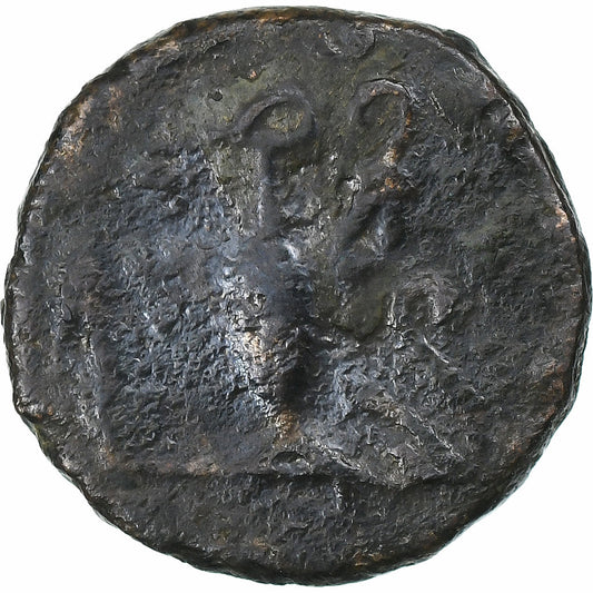 ¿Tétrico II?, 
  
  antonianos, 
  
  271-274