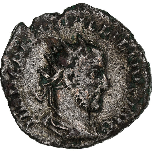 Galeno, 
  
  antonianos, 
  
  253