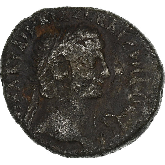 Egipto,

Claudio,

Tetradracma