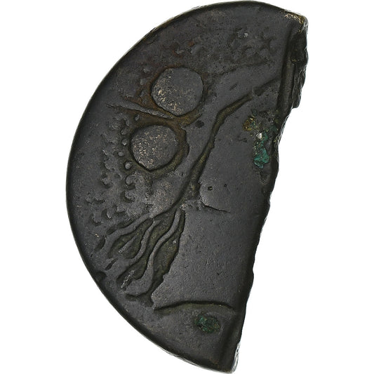 tarraconensis, 
  
  ibérica, 
  
  1/2 como
