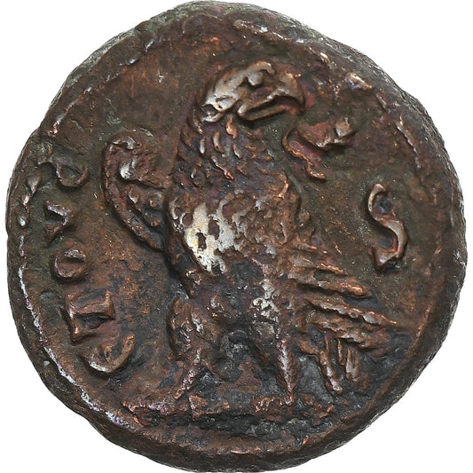 Egipto,
 
 Severina,
 
 tetradracma