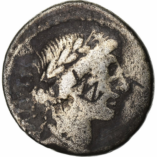 acilia, 
  
  Dinar, 
  
  49 a.C.