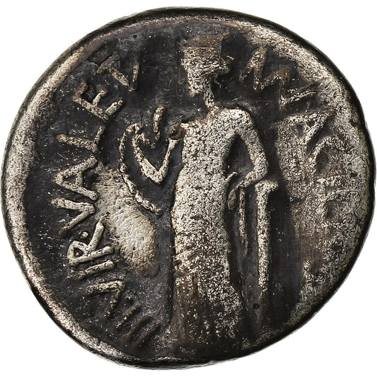 acilia, 
  
  Dinar, 
  
  49 a.C.