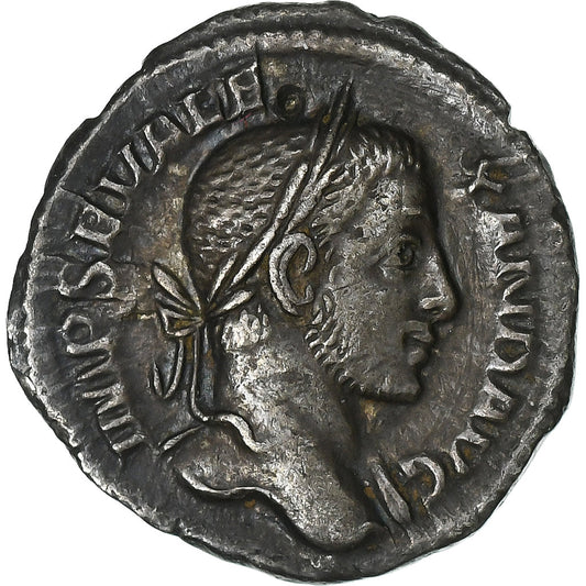 Severo Alejandro, 
  
  Dinar, 
  
  229