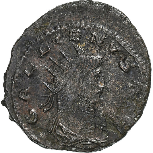 Galeno, 
  
  antonianos, 
  
  267