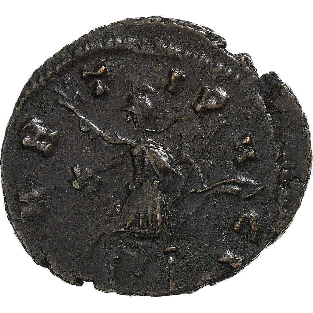 Quintillo, 
  
  antonianos, 
  
  270