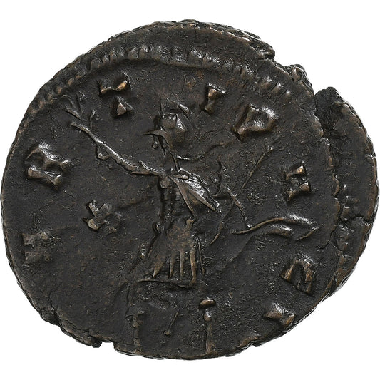 Quintillo, 
  
  antonianos, 
  
  270