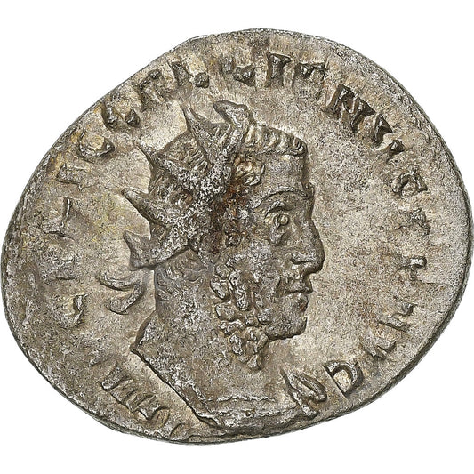 Galeno, 
  
  antonianos, 
  
  255-256