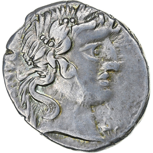 vibia, 
  
  Dinar, 
  
  90 aC