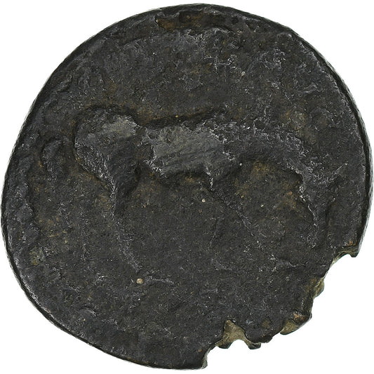 Troya,

Severo Alejandro,

Æ