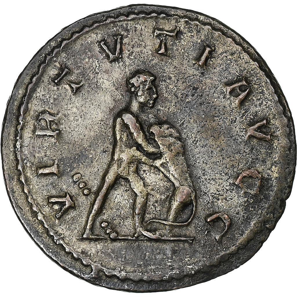 Maximianos, 
  
  antonianos, 
  
  289