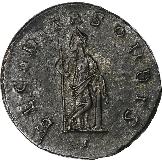 Probo, 
  
  antonianos, 
  
  276
