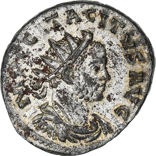 Tácito, 
  
  antonianos, 
  
  275