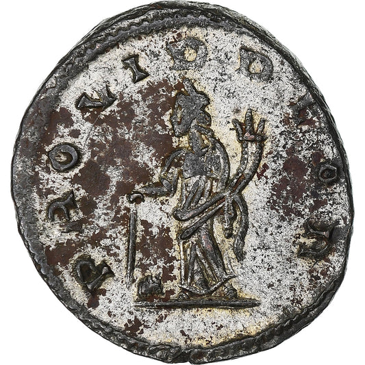 Tácito, 
  
  antonianos, 
  
  275