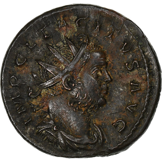 Tácito, 
  
  antonianos, 
  
  275-276