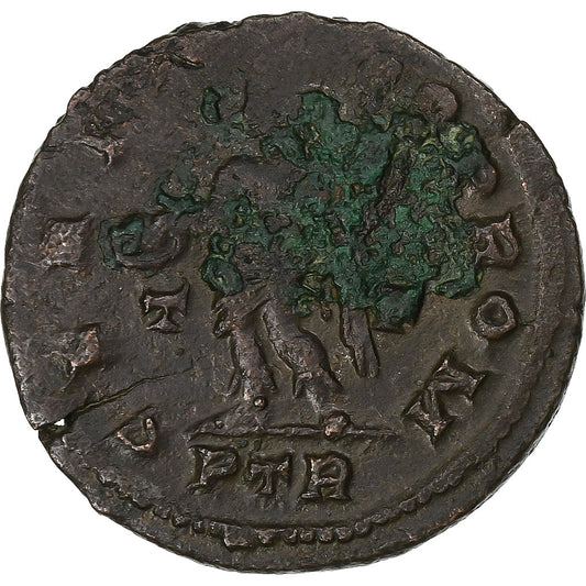 Maximino II, 
  
  Follis, 
  
  310-313