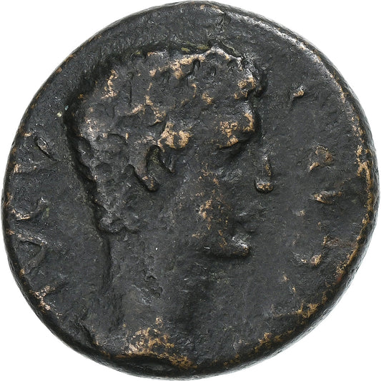 Corintia,
 
 Calígula,
 
 Æ Unidad