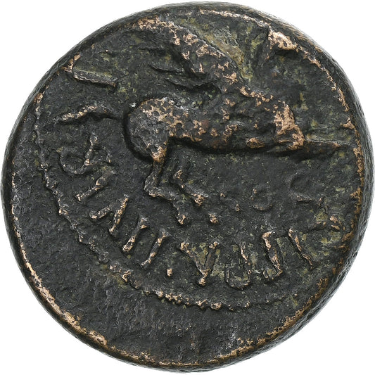 Corintia,
 
 Calígula,
 
 Æ Unidad