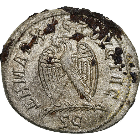 Seleuco y Pieria, 
  
  Otacilia Severa, 
  
  tetradracma