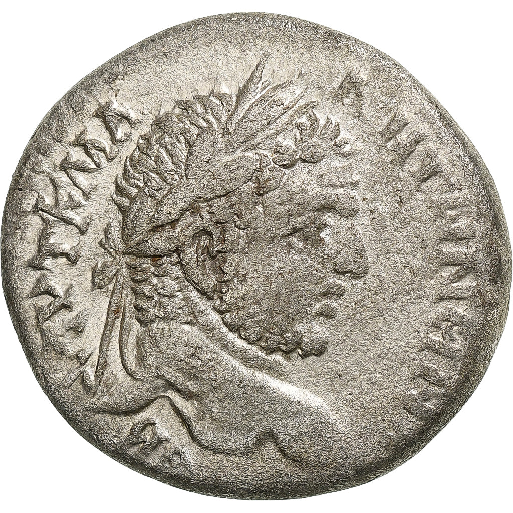 Seleuco y Pieria, 
  
  Caracalla, 
  
  tetradracma