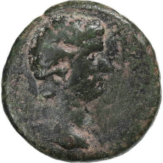 lidia,
 
 Claudio con Agripina II,
 
 Æ Unidad