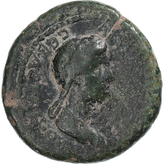 lidia,
 
 Claudio con Agripina II,
 
 Æ Unidad