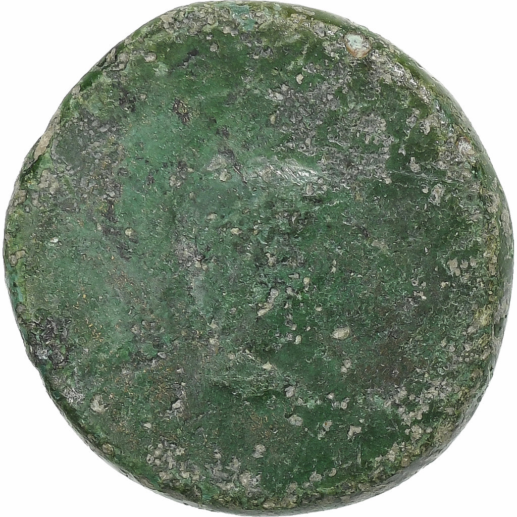 Germánico y Druso,
 
 Æ Unidad,
 
 14-19