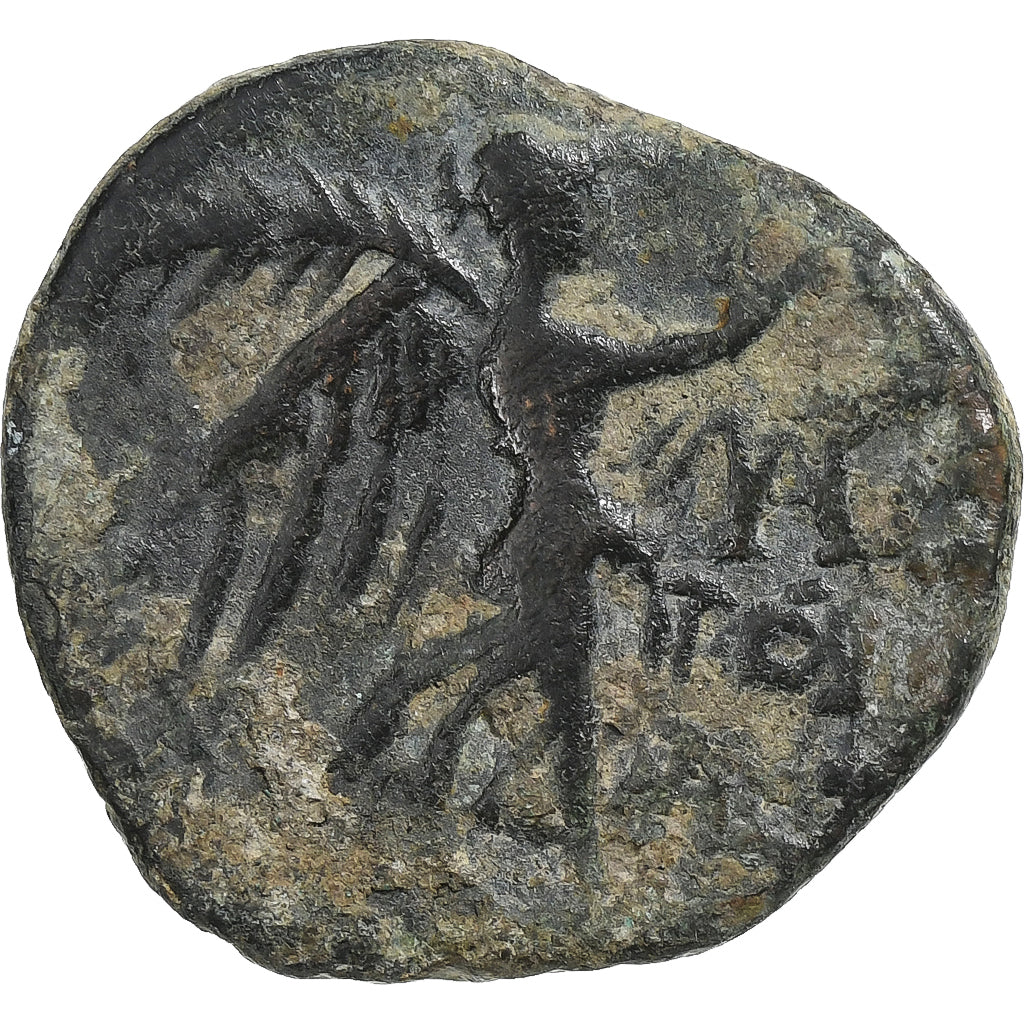 Cilicia,

Pompeyo "el Grande",

Unidad Æ