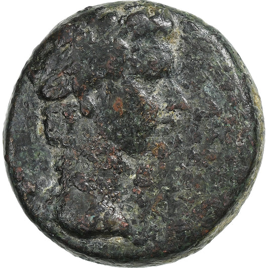 Frigia,
 
 Tiberio,
 
 Æ Unidad
