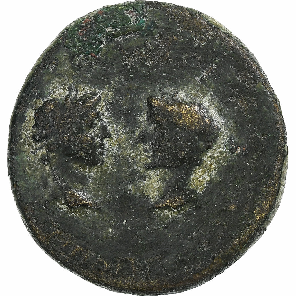 Tiberio y Augusto,
 
 Æ Unidad,
 
 14-29
