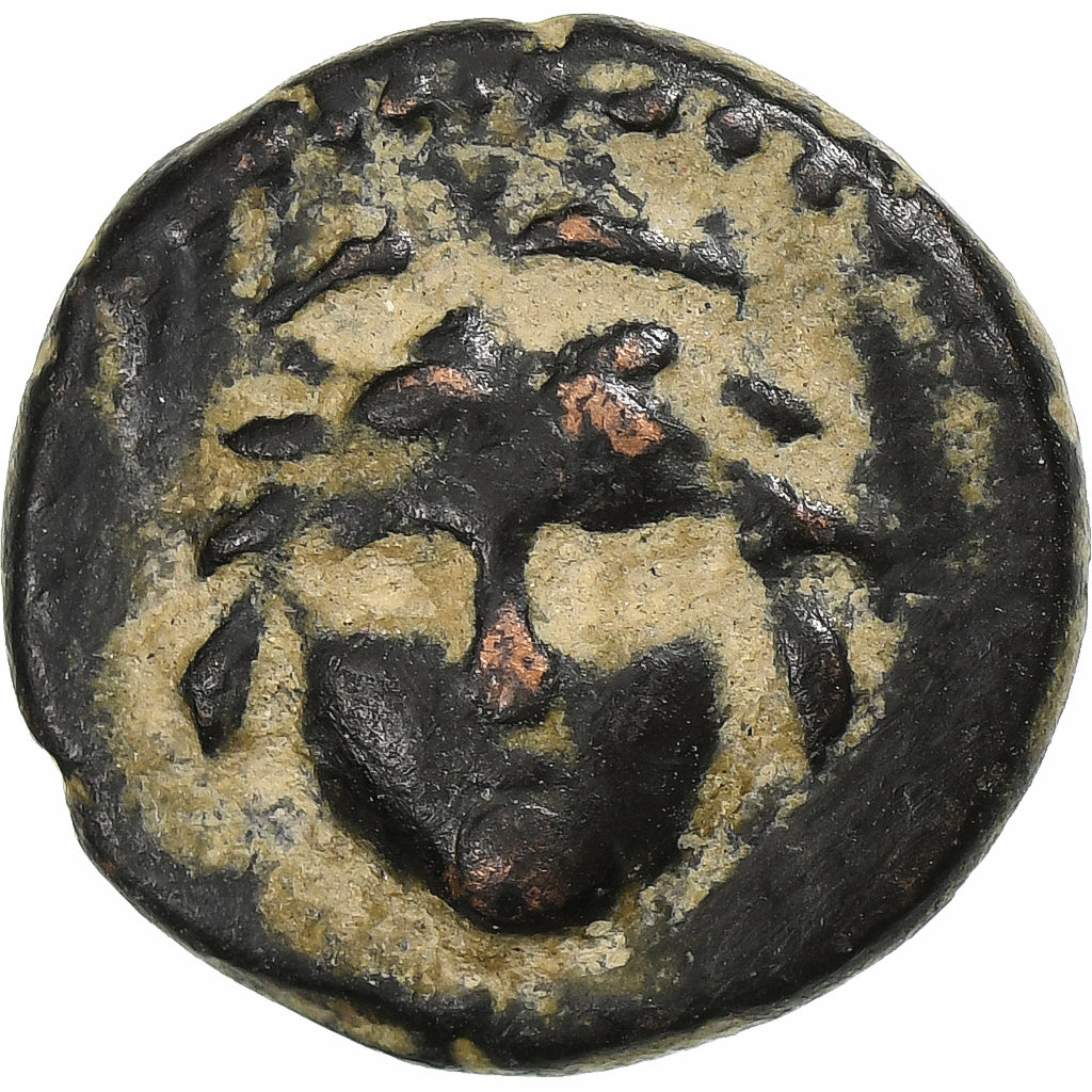 licaonia,
 
 Vespasiano,
 
 Æ Unidad