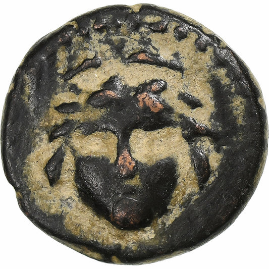 licaonia,
 
 Vespasiano,
 
 Æ Unidad