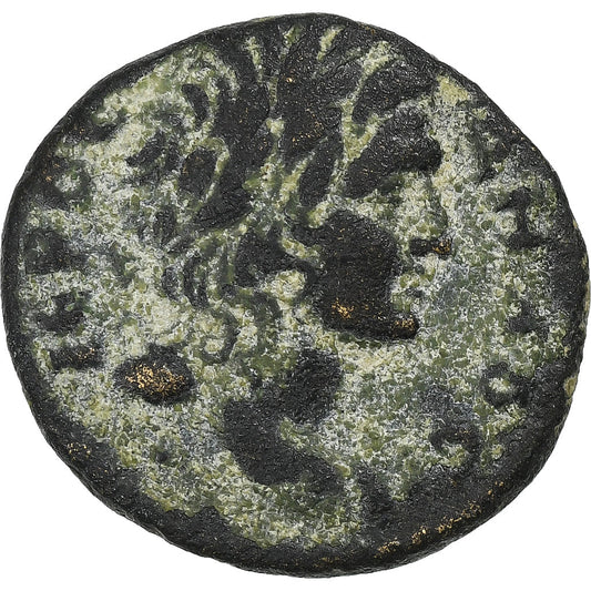 sacrificio,
 
 Æ Unidad,
 
 193-211