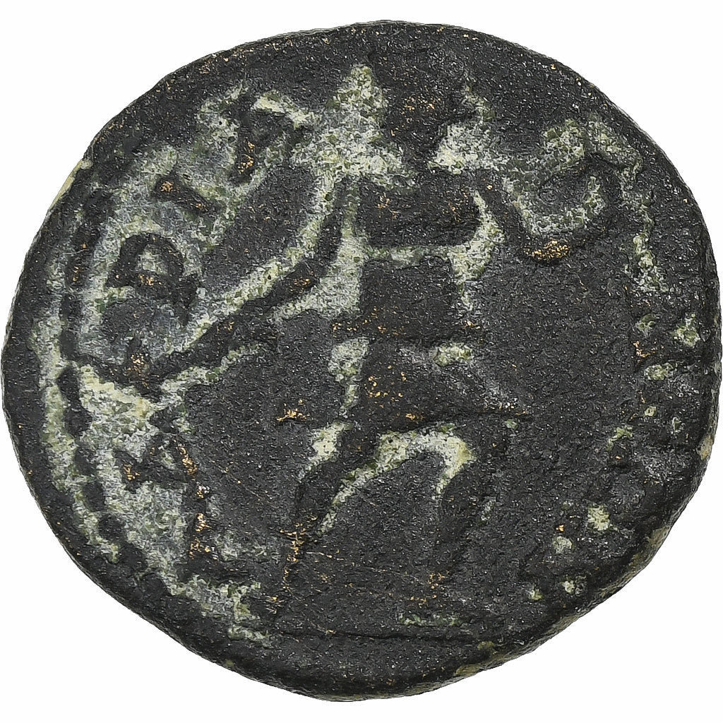 sacrificio,
 
 Æ Unidad,
 
 193-211